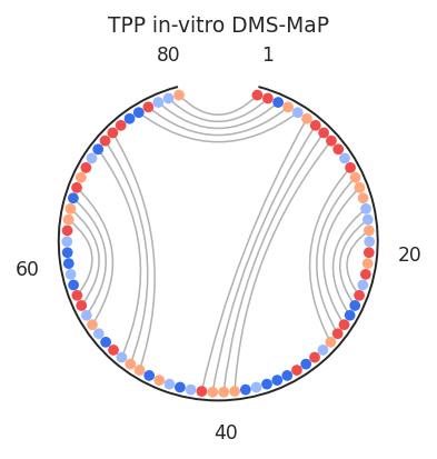../_images/plot_options_circle_1_0.png