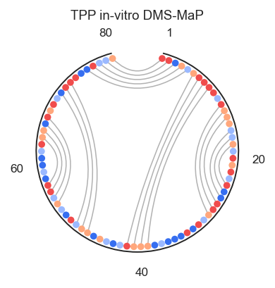 ../_images/plot_options_circle_1_0.png