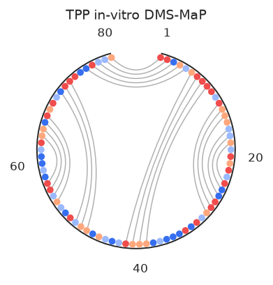 ../_images/plot_options_circle_1_0.png